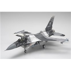 1/48 F-16C/N Aggressor / Adversary