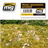 STONY MOUNTAIN GROUND