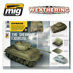 The Weathering Magazine nº12 Estilos