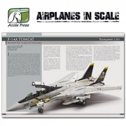 Airplanes in Scale - Máxima Guia 2 (ES)