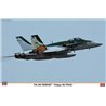 1/48 F-18  F/A-18C Hornet Chippy Ho Final Ltd.