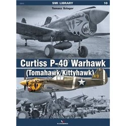 10 - Curtiss P-40 Warhawk (Tomahawk/Kittyhawk)