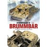 18- Sturmpanzer IV Brummbär