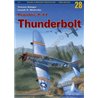 28 - Republic P-47 Thunderbolt vol.IV ( without decals)