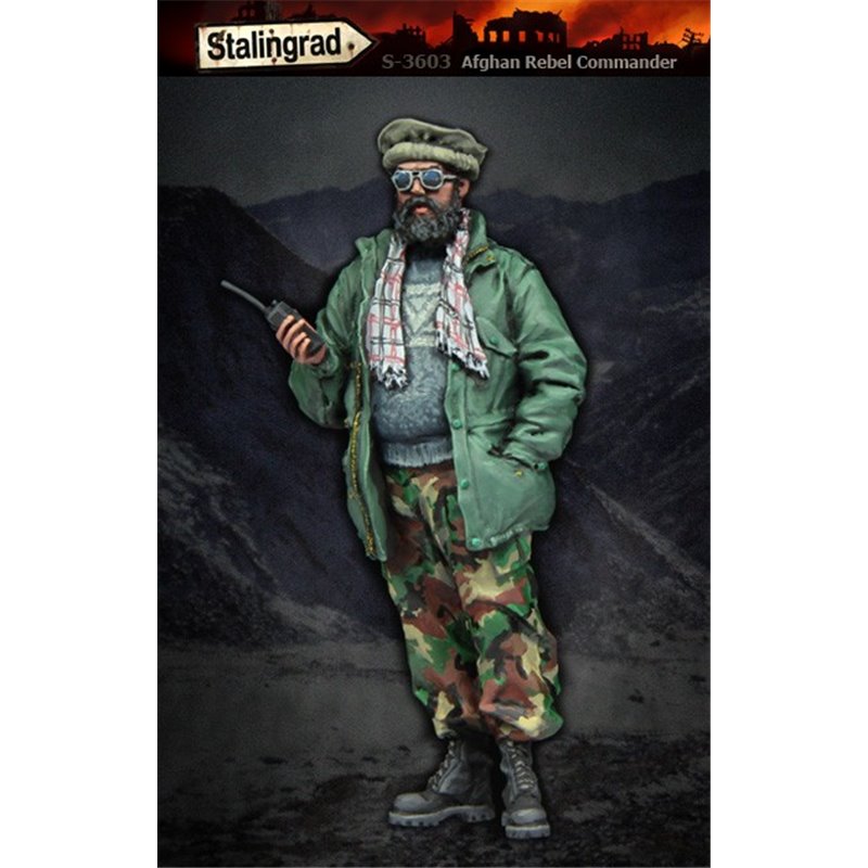 Afghan Rebel Commander  