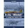 13 - B-25J "Michell" in Combat over Pacific & CBI