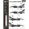 1/48 Decals Lockheed-Martin F-16C Alaskan Splinters