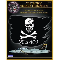 1/48 decals “Victory Superhornets" 