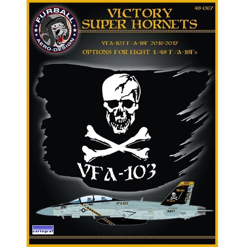 1/48 decals “Victory Superhornets" 