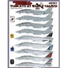 1/48 decals  Grumman F-14A/F-14B/F-14D Tomcats at War Part 1