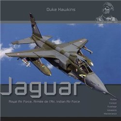 Duke Hawkins: The Sepecat Jaguar.