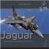 Duke Hawkins: The Sepecat Jaguar.