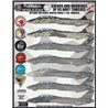 1/48 decals “Colors and Markings of US Navy Grumman F-14s Part VII"