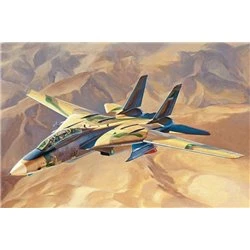 1/48 IRIAF Persian Cat F-14A Tomcat