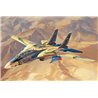 1/48 IRIAF Persian Cat F-14A Tomcat