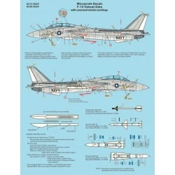 1/48 Decals Grumman F-14 Tomcat Data Sheet: Contains Un-Armed Missile Markings [F-14A F-14B F-14C F-14D]