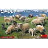 1/35 SHEEP (SET OF 15)