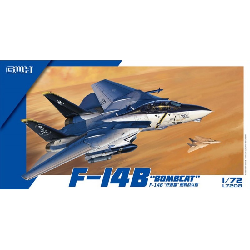 1/72 F-14B "Bombcat"