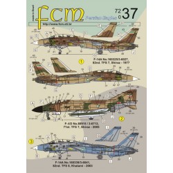 FCM Calcas 1/72 Grumman F-14A Tomcat Iran