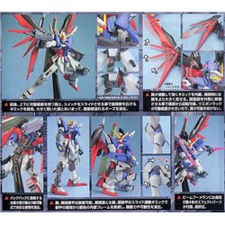 Bandai 1/100 MG Destiny Gundam model kit