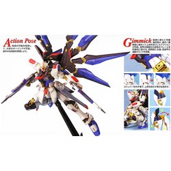 1/100 MG Strike Freedom Gundam