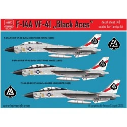 HAD 1/48 Calcas F-14A Tomcat (VF-41 «Black Aces») on USS Nimitz, 1978-80