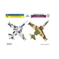 HAD 1/48 Destroyed Su-25s