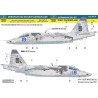 HAD decals 1/48 Ukrainian Su-25 Digit Camouflage