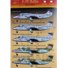 Calca 1/48 Decal L-29 Delfin (5x camo)