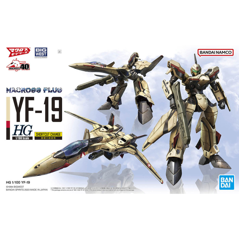 Bandai 1/100 HG YF-19