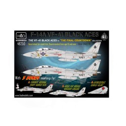 HAD 1/48 Decals F-14A Black Aces ”The Final Countdown”