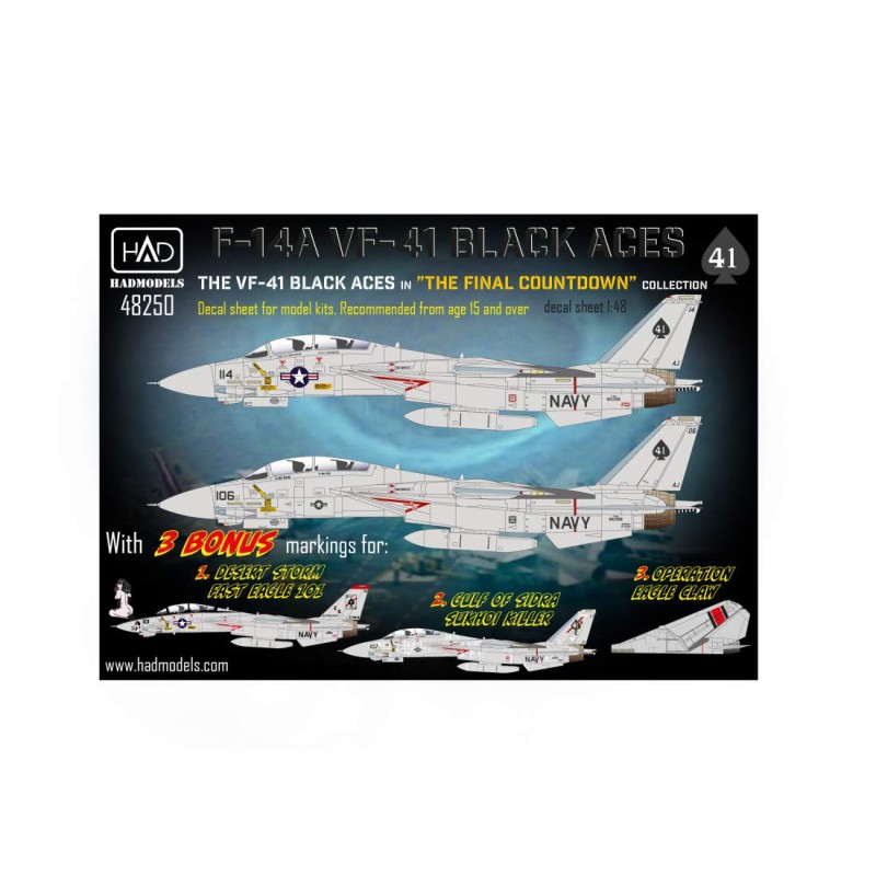 HAD 1/48 Calcas F-14A Black Aces ”The Final Countdown”