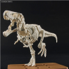 Bandai Plannosaurus Tyrannosaurus Model Kit - Robotines