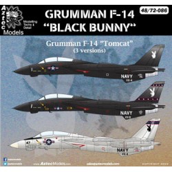 Aztec Models 1/48 Decals Grumman F-14 Tombat "Black Bunny"