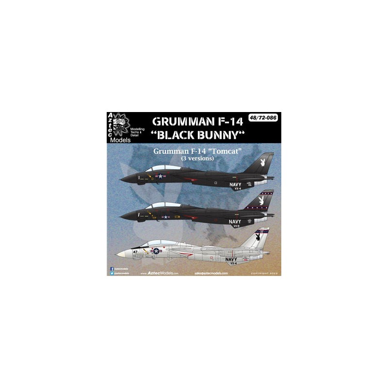 Aztec Models 1/48 Decals Grumman F-14 Tombat "Black Bunny"