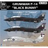 Aztec Models 1/48 Decals Grumman F-14 Tombat "Black Bunny"