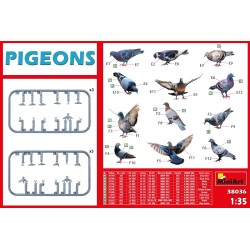 Maqueta Miniart 1/35 Pigeons (palomas)