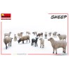 Maqueta Miniart 1/35 Sheep (Set de 15) Ovejas - Robotines