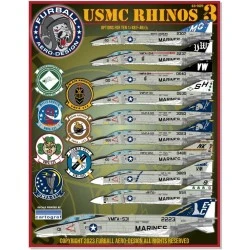 Furball decals 1/48 USMC Rhinos part 3 with options for 8 McDonnell F-4Ns and 2 F-4J Phantoms.