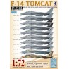 DXM Calcas 1/72  f-14 Tomcat USN VF-2/VF-31/VF-41/VF-101/VX-30 & IRAF TFB8