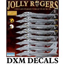 DXM Calca 1/48 Jolly Rogers USN F-14B Upgrade Tomcat VF-103 '00~'04