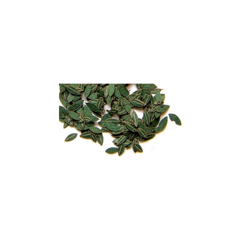 Plus Model 1/35 Cherry Leaves Green