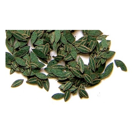 Plus Model 1/35 Cherry Leaves Green