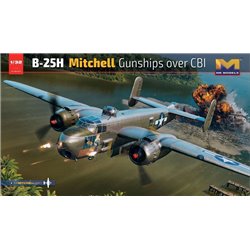 B-25H Mitchell Gunship Over CBI