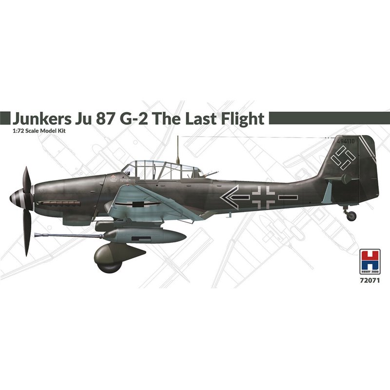 Junkers Ju 87 G-2 The Last Flight