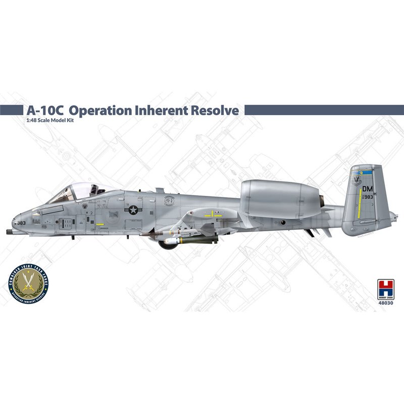 A-10C Operation Inherent Resolve