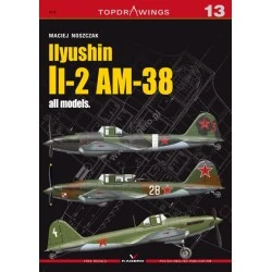 Kagero 13 - Ilyushin Il-2 AM-38 all models (decals)