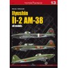 Kagero 13 - Ilyushin Il-2 AM-38 all models (decals)