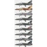 Kitty Hawk 1/32 Mirage 2000 D/N