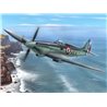 Seafire Mk.15 Aeronavale Service